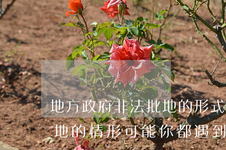 地方政府非法批地的形式、違法征地的情形可能你都遇到了